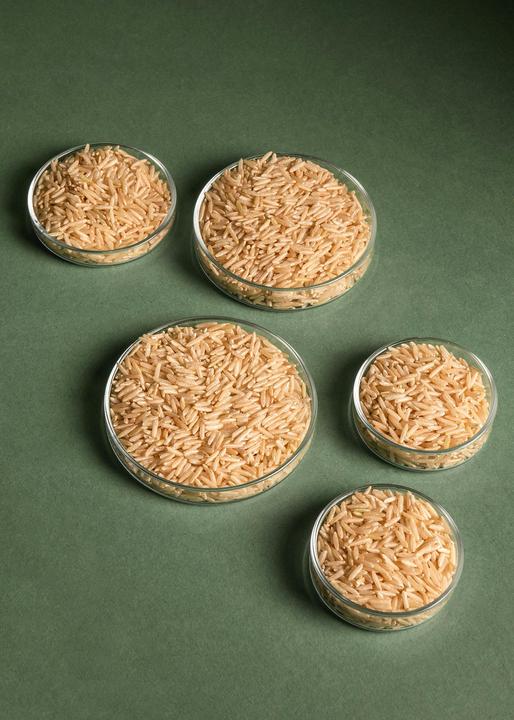 Image du produit KoRo Riz basmati (5000 g)