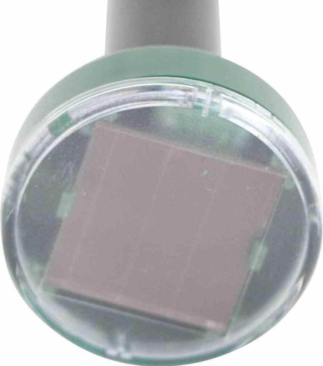 Produktbild Siena Garden Mausefalle