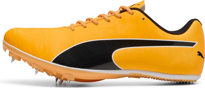 Produktbild Puma evoSPEED Sprint 14.5 (40.5)