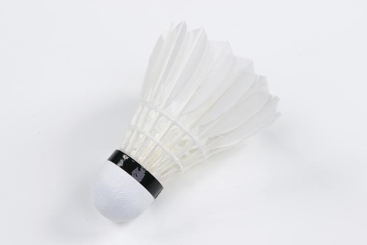 Produktbild Victor Badminton-Bälle Pro Court
