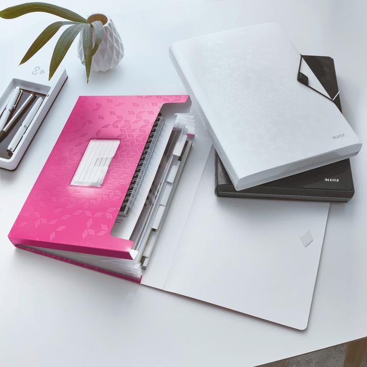 Actual product image Leitz WOW - Project folders (A4, 1 x)