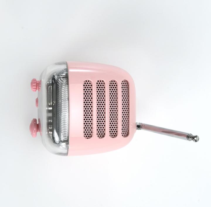 Produktbild Divoom Tiivoo-2 pink