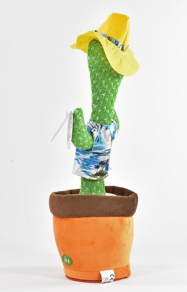 Produktbild Kögler Tanzender Kaktus (34 cm)