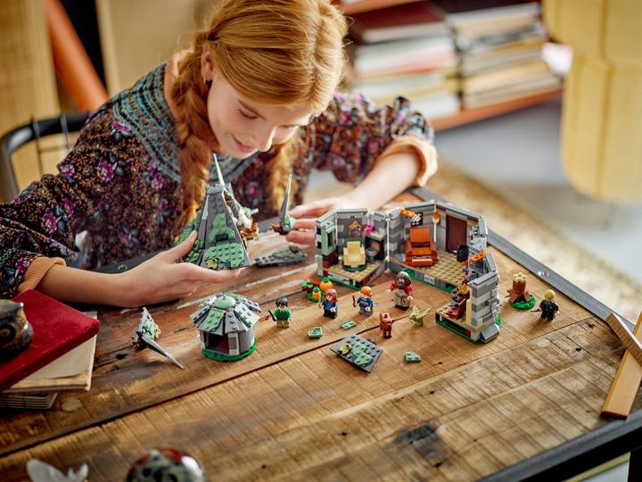 Produktbild LEGO Hagrids Hütte: Ein unerwarteter Besuch (76428, LEGO Harry Potter)