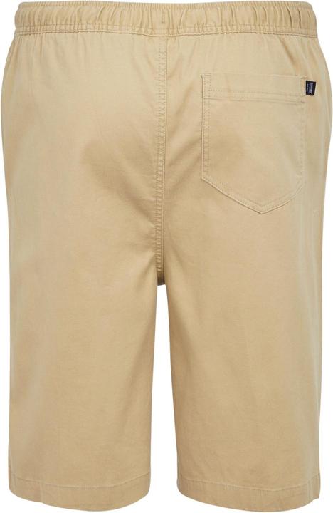 Produktbild Regatta Aldan Shorts (40)