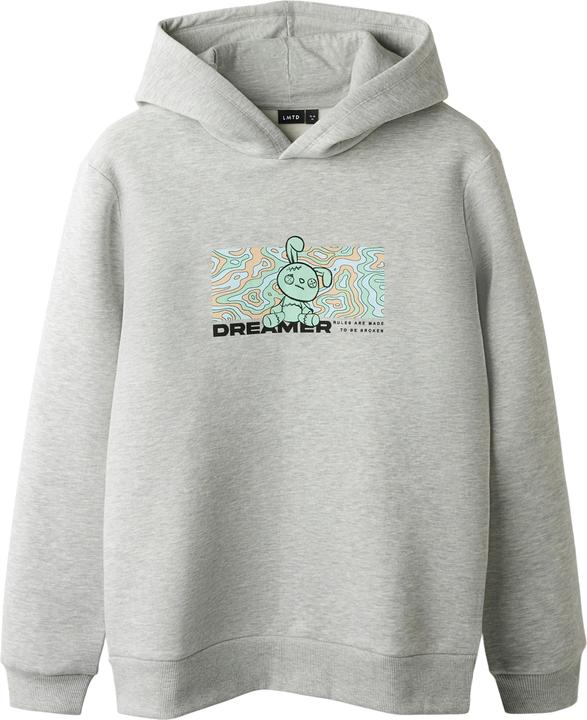 Lmtd Loose Fit Hoodie (146)
