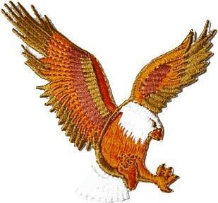Image du produit Ju-Sports Patch Aigle