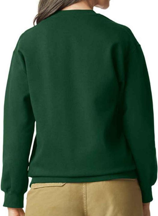 Immagine prodotto Gildan Softstyle Felpa Uomo (XL)