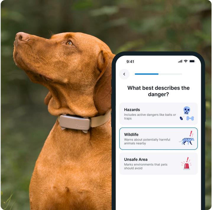 Actual product image Tractive GPS Tracker Dog 6 (Dog)