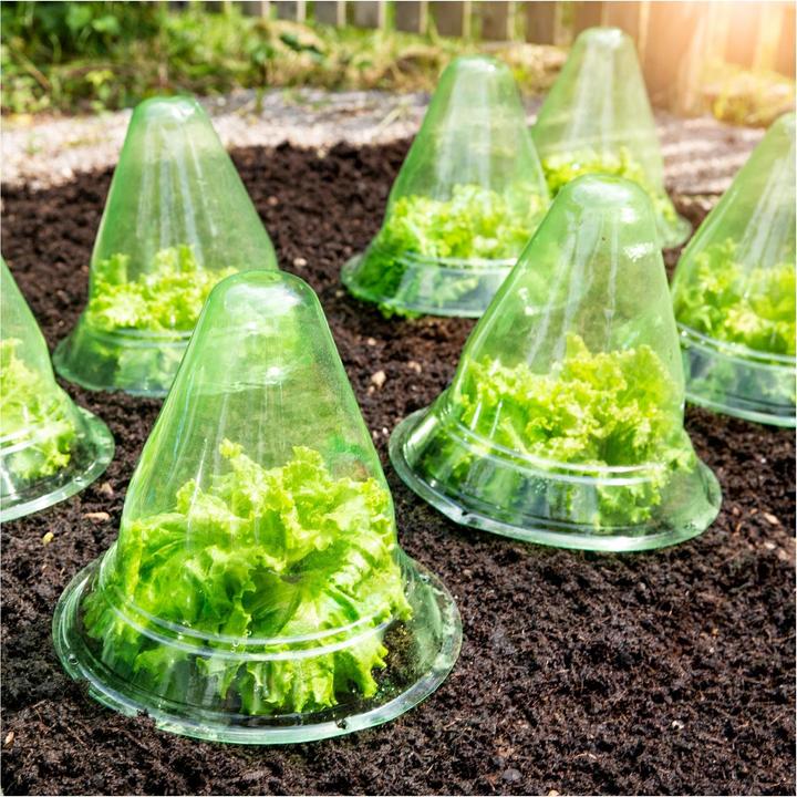 Produktbild Windhager Pflanzenhut