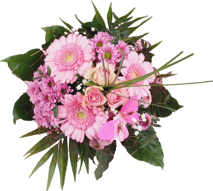 Rosa