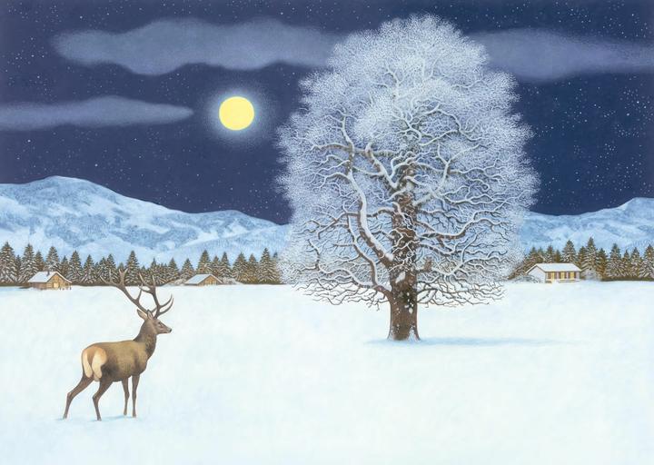 Actual product image Müller:Magical winter night Advent