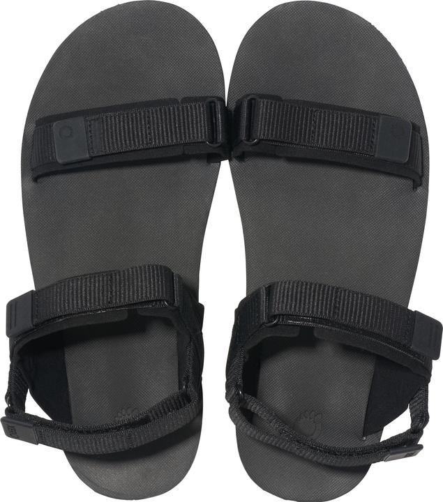 Actual product image Xero Shoes D-Trail (41.5)