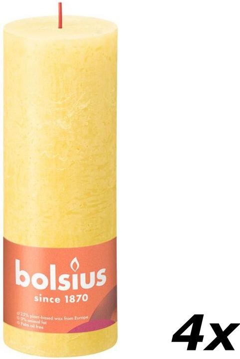 Image du produit Bolsius Lot de 4 bougies (4 pcs)