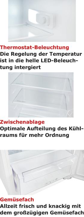 Actual product image Exquisit Exqu Cooler Combi EKGC265-40-040E 814350300, trailing door (205.70 l)