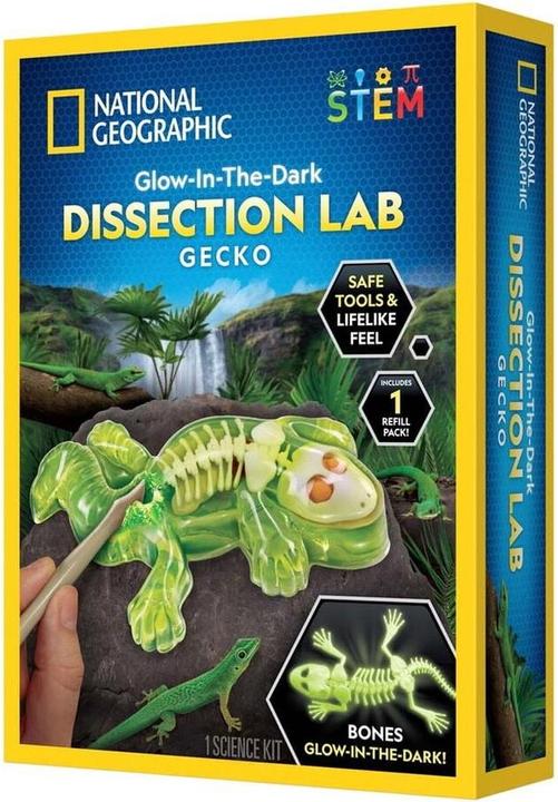 Actual product image National Geographic Gecko Dissection Lab (29-2451)