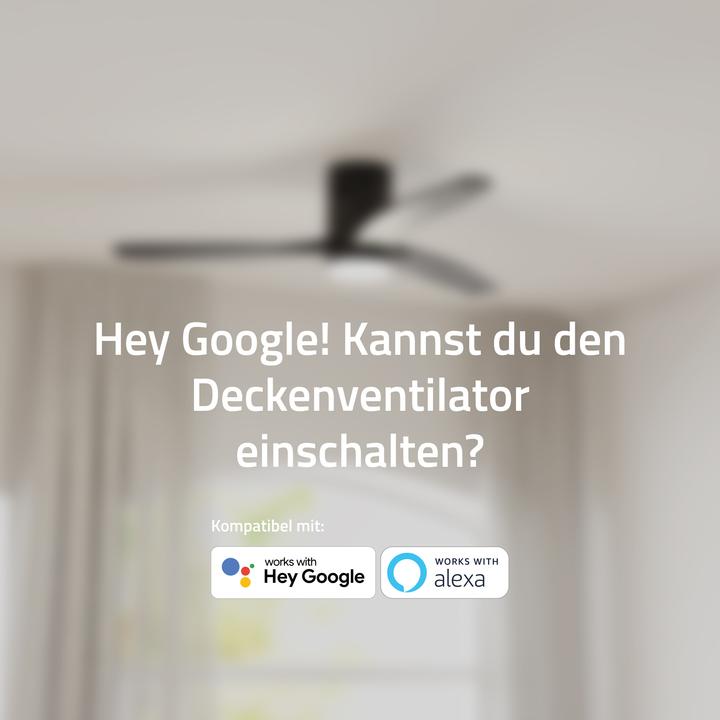 Image du produit Hombli Deckenventilator mit Licht (43 dB)
