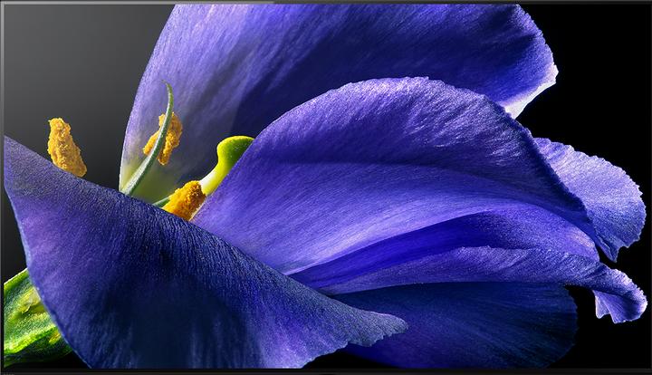 Actual product image Sony OLED KD77AG9 (77", OLED, 4K, 2019)