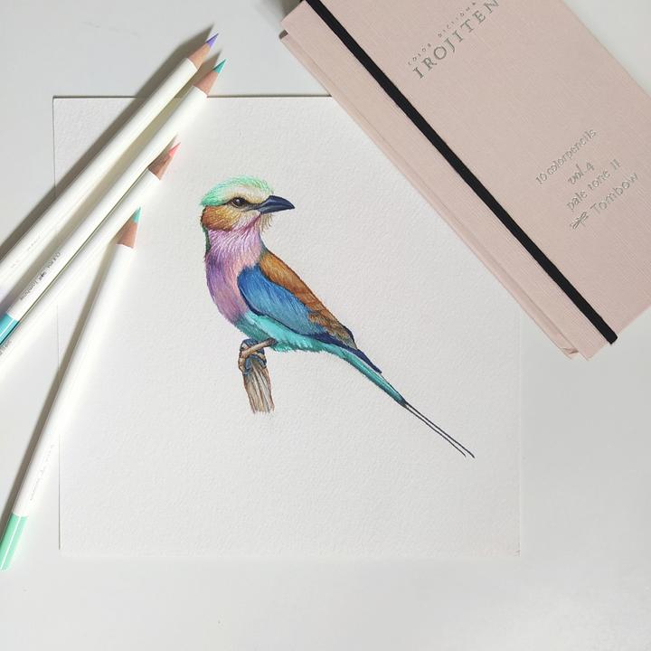 Immagine prodotto Tombow Irojiti (Bosco, 30 x)