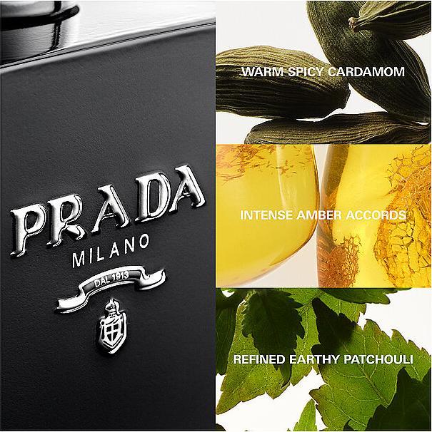 Image du produit Prada L'Homme Intense (Eau de parfum, 100 ml)