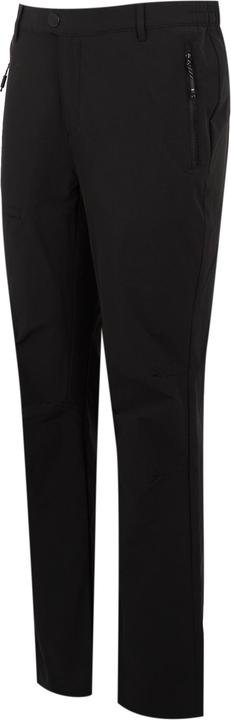 Actual product image Regatta Mens Highton II Hiking Trousers (32)