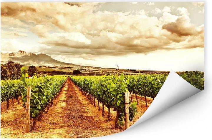 Actual product image Trenddeko Vines in the mountains (150 x 100 cm, 200 x 100 cm, 100 x 70 cm, 120 x 80 cm, 180 x 100 cm, 60 x 40 cm)