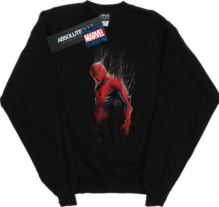 SpiderMan Web Wrap Sweatshirt Jungen