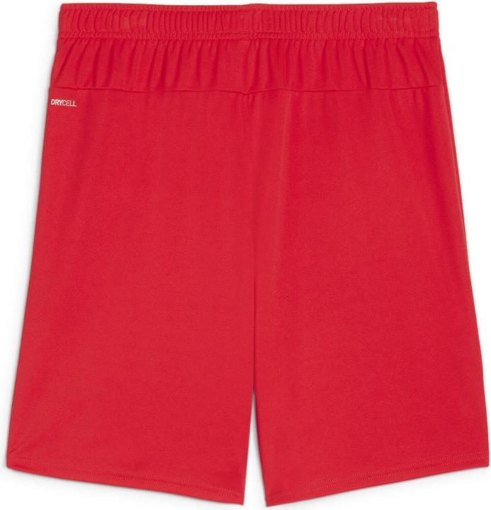 Image du produit Puma teamGOAL Short (XXL)