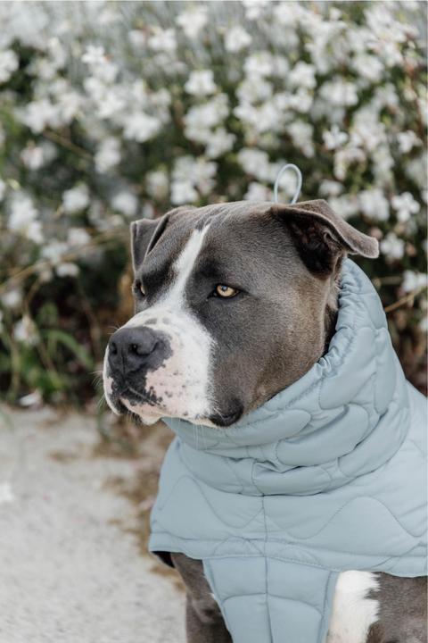 Image du produit Kentucky Horsewear manteau pour chien pina (XS, Manteau pour chien)