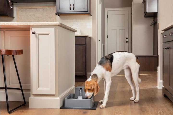 Image du produit Sportdog Drinkwell 3.7 Litre Pet Fountain - Adaptateur EU (3.70 l)