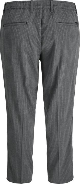 Actual product image Jack & Jones Plus Size Loose Fit Loose Fit Trousers Loose Fit Trousers (42)