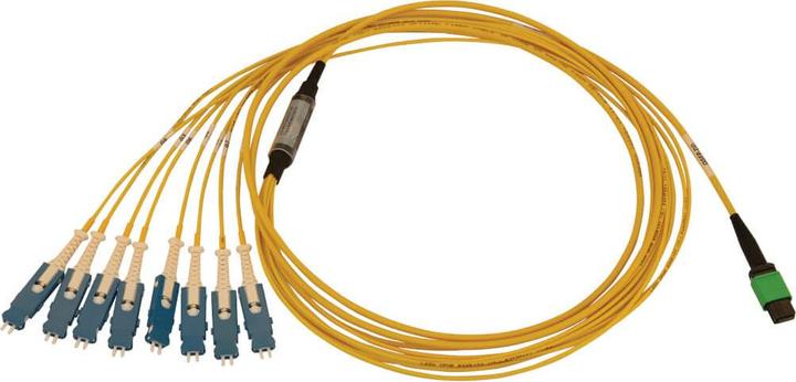 Immagine prodotto Eaton Cavo in fibra ottica breakout 40/100/400G monomodale 9/125 OS2 16F MTP/MPO-APC a 8x Du (2 m)