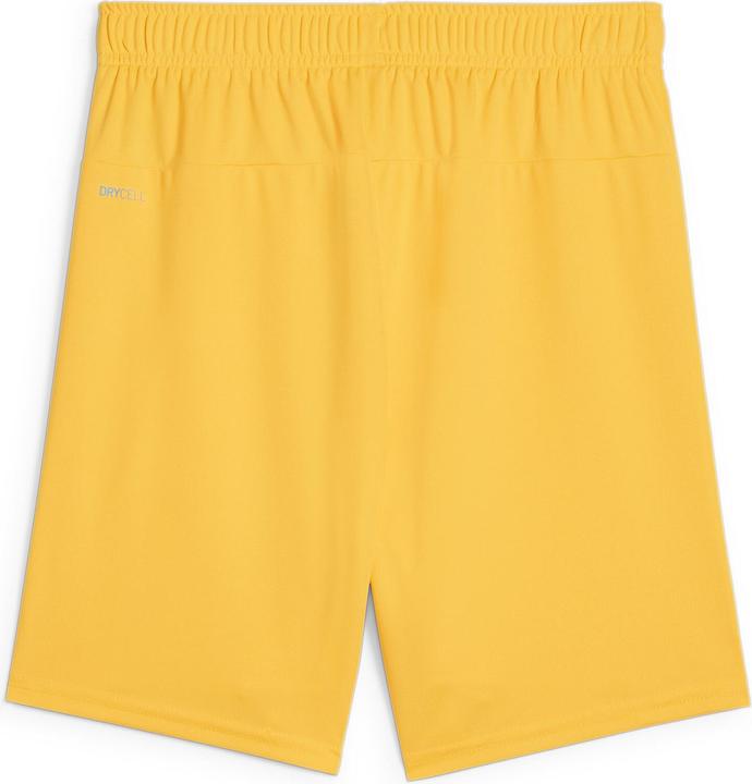 Immagine prodotto Puma Pantaloncini TeamGOAL Jr (152)