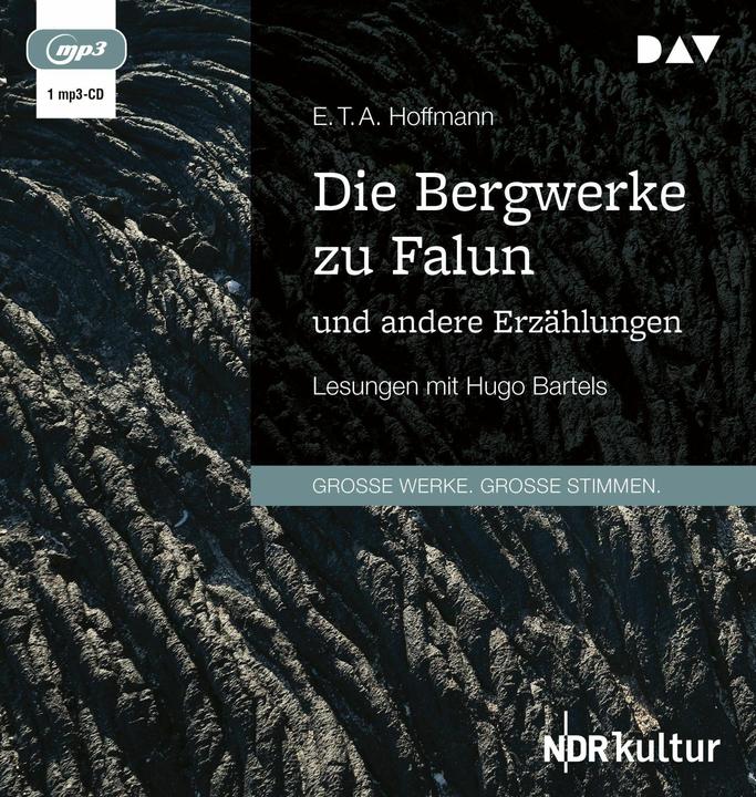 Produktbild Die Bergwerke zu Falun und andere Erzählungen (E. T. A. Hoffmann, Hugo R. Bartels, Deutsch)