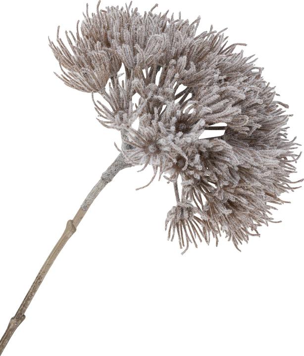 Immagine prodotto House Nordic Natura (75 cm)