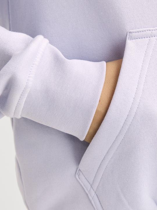 Produktbild Jack & Jones Jorvesterbro Sweat Hood Noos Jnr (176)