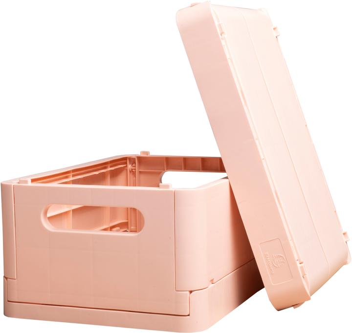 Image du produit Exacompta Boîte pliable The Smart Case midi Skandi - Nude (1.44 l)