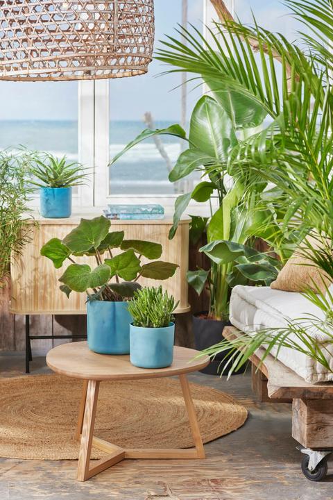 Produktbild Elho The Ocean Collection (22.30 cm)