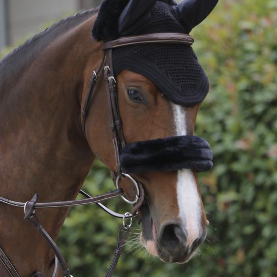 Schwarz
