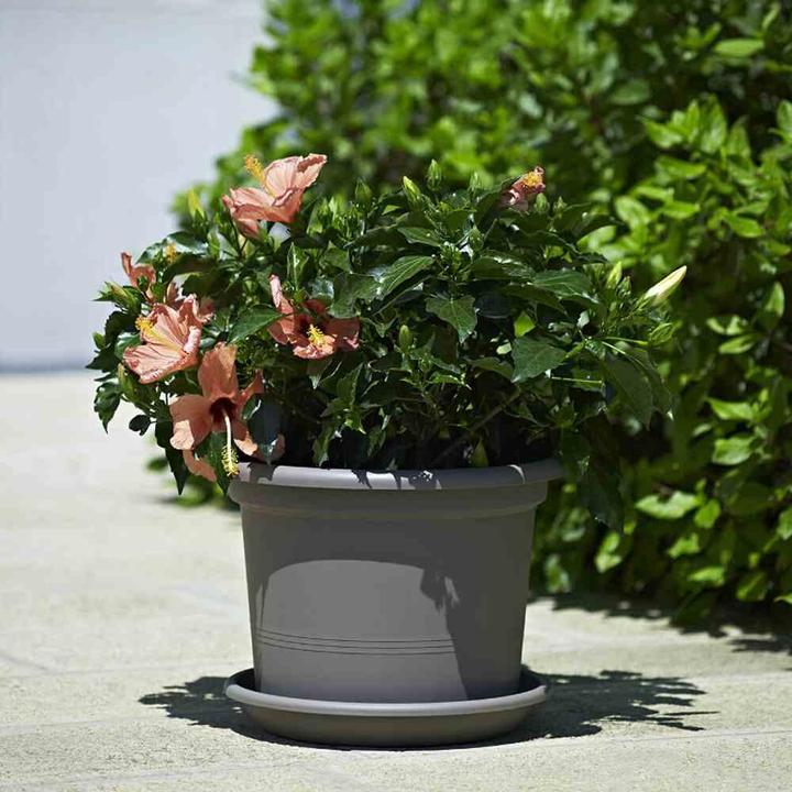 Immagine prodotto Euro3plast Fioriera (25 cm)