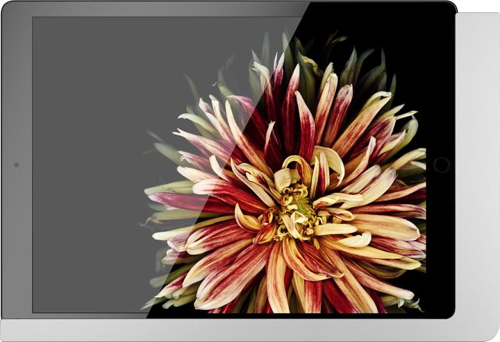 Image du produit Viveroo 510170PD Support mural pour iPad argenté laqué