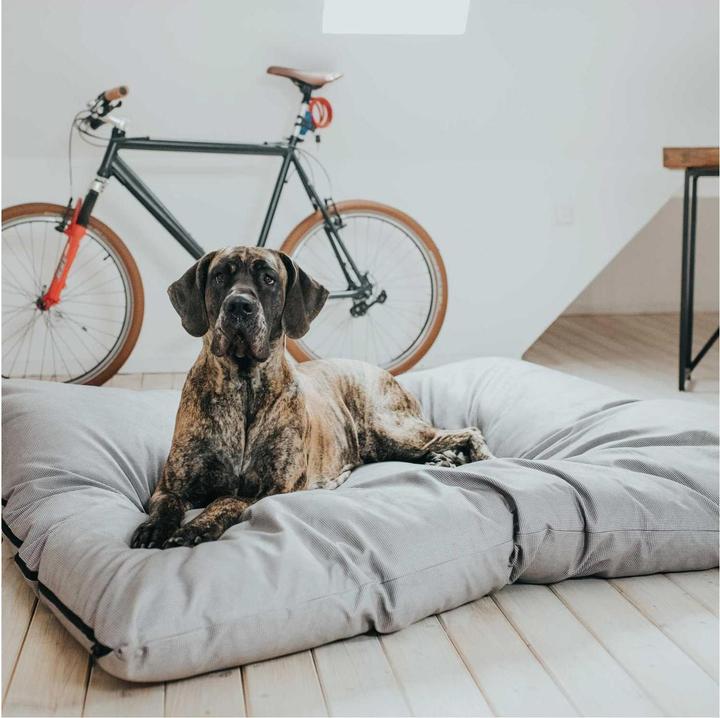 Immagine prodotto Hunter Letto per cani Lancaster XXXL (Cane)