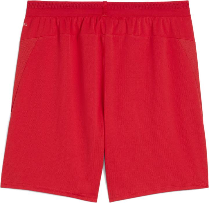 Actual product image Puma teamCUP Shorts (XL)