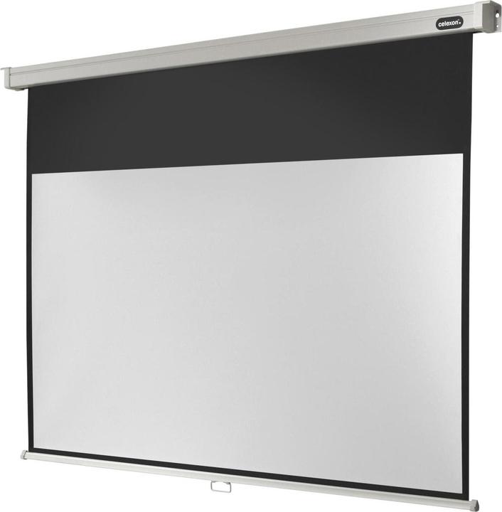 Celexon Rollo Professional, Canvas, 16:9 (135", 16:9)