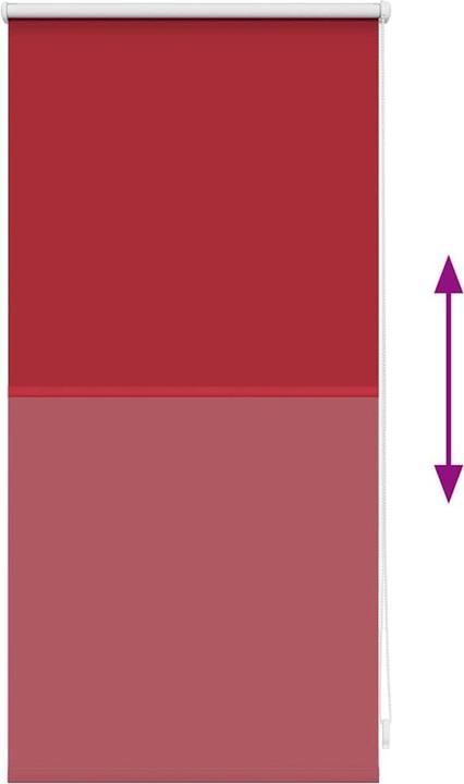 Immagine prodotto VidaXL Rollo (40 x 100 cm)
