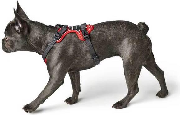 Produktbild Hunter Geschirr Divo (XS, Hund, Allgemein)