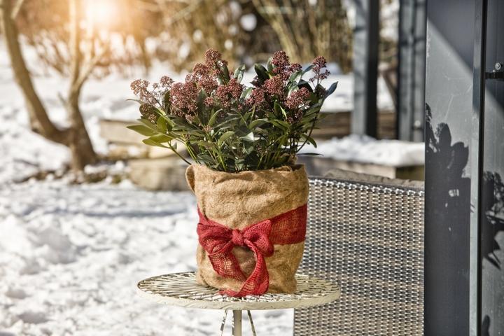 Immagine prodotto Windhager Tappetini in pile