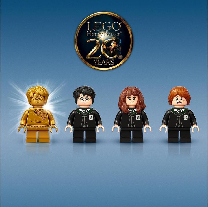 Image du produit LEGO Poudlard : l’erreur de la potion Polynectar (76386, LEGO Harry Potter)