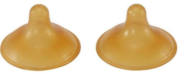 Hevea Coquilles d'allaitement, caoutchouc naturel (Taille unique)