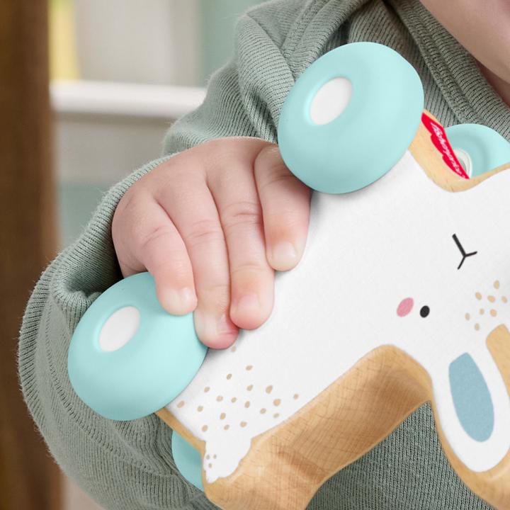 Actual product image Fisher-Price Wooden sliding bunnies